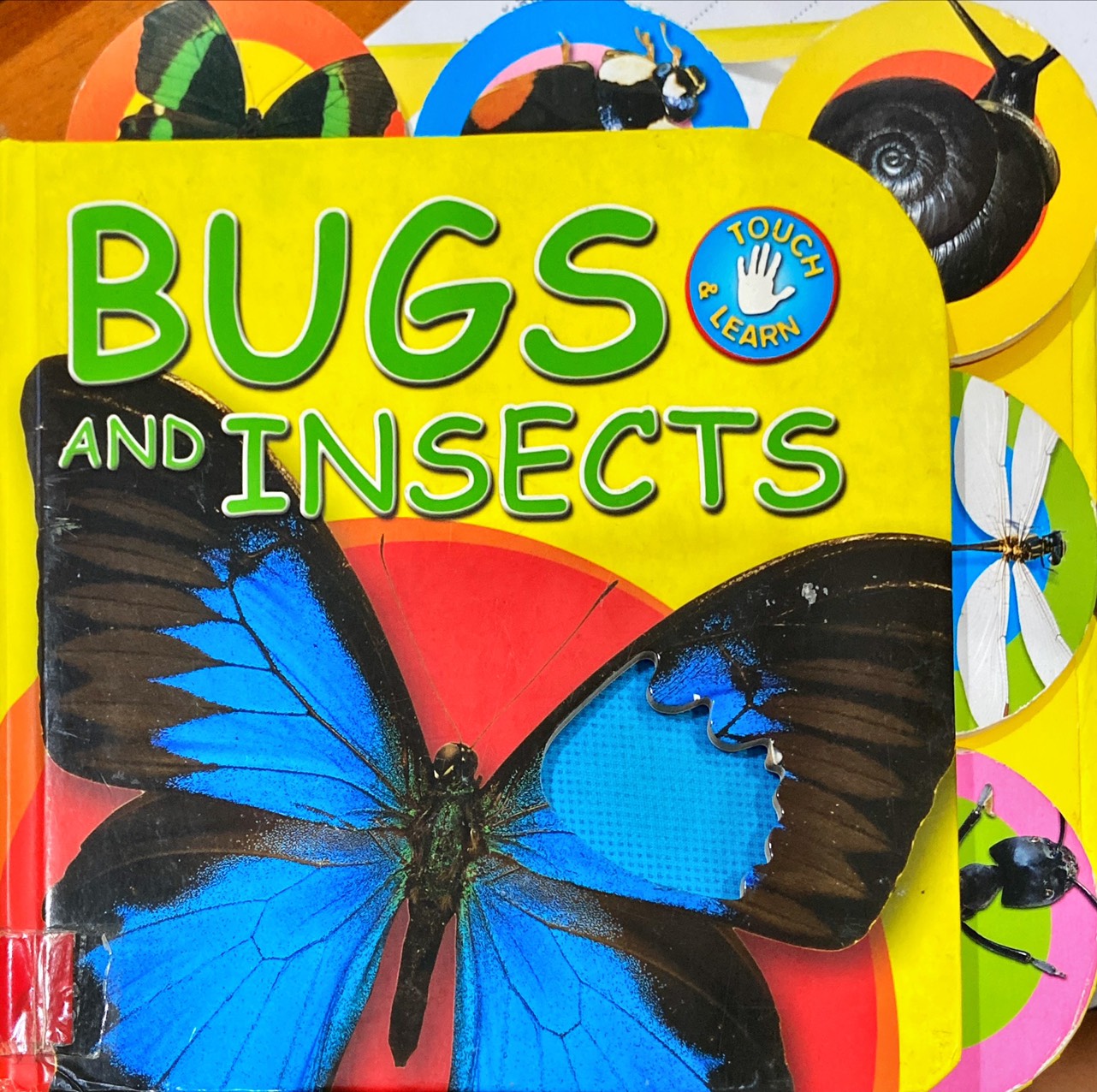 Bugs and Insects
