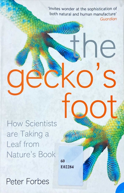 the gecko's foot