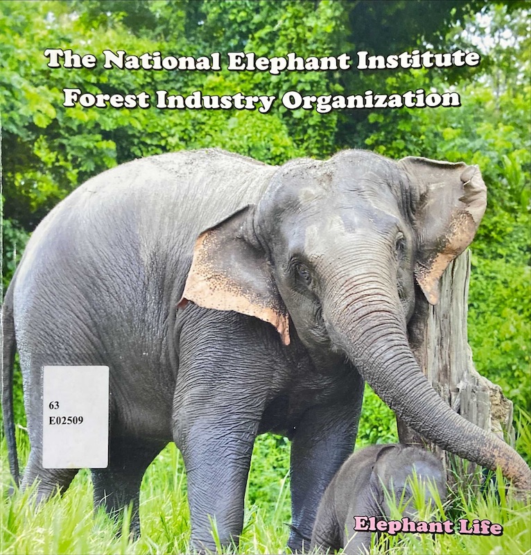 Elephant Life