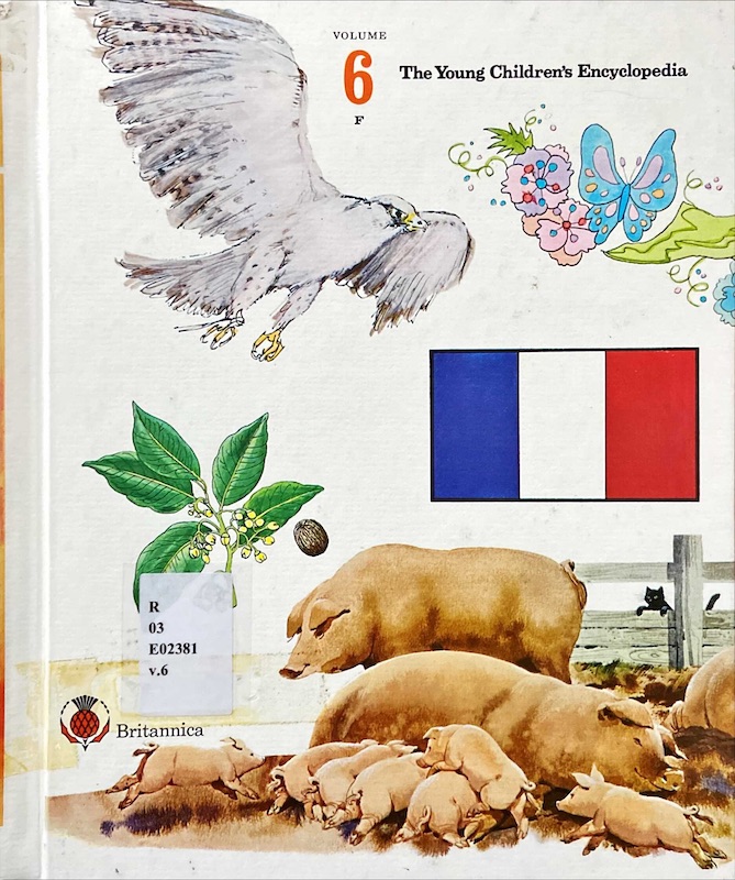 The young children's encyclopedia : volume 6 F