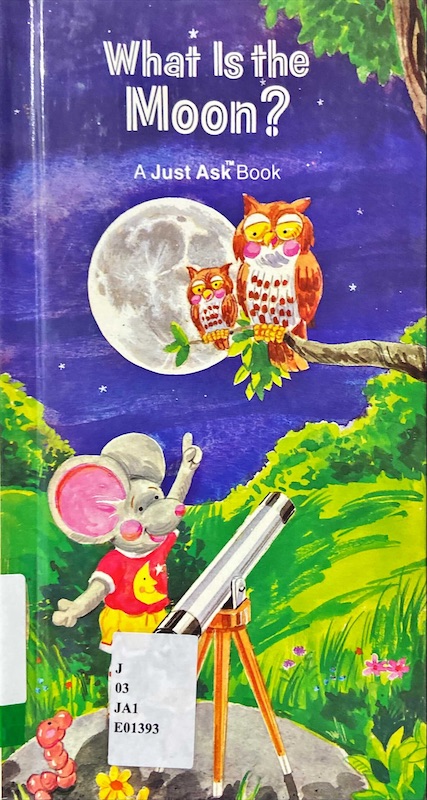 What is the Moon?