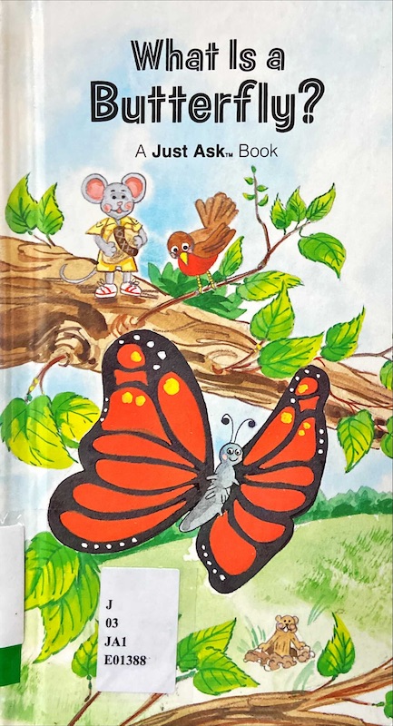 What is a Butterfly?