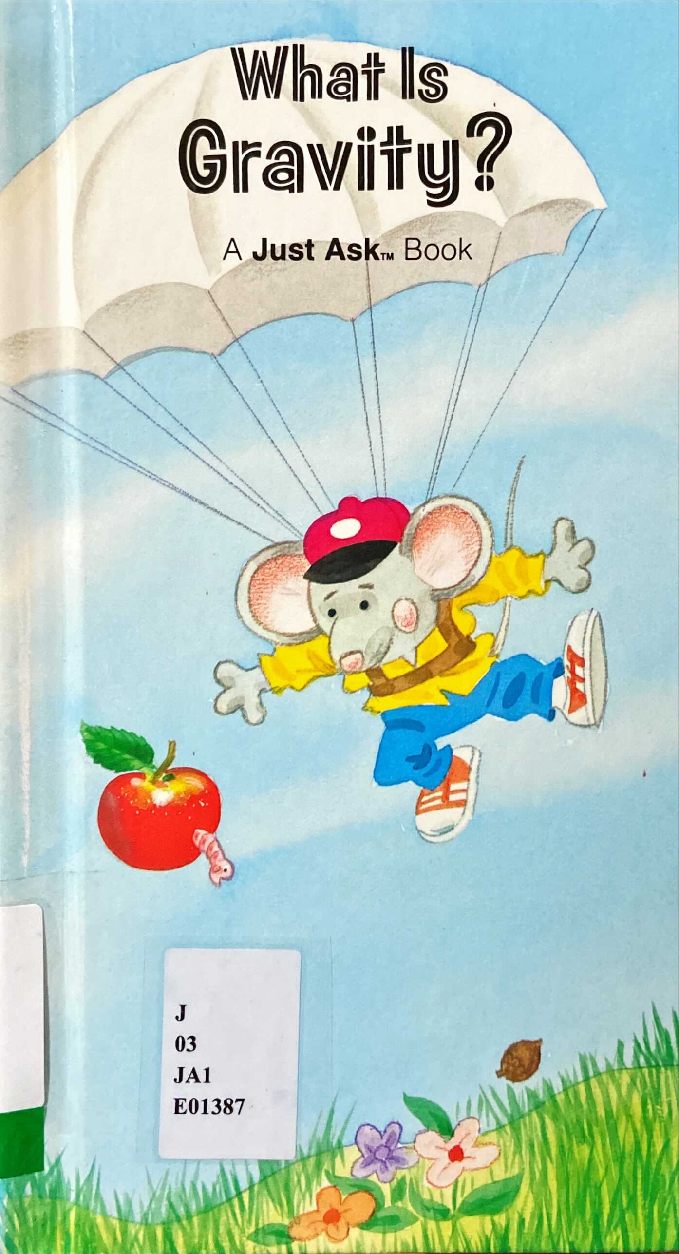 What is Gravity?