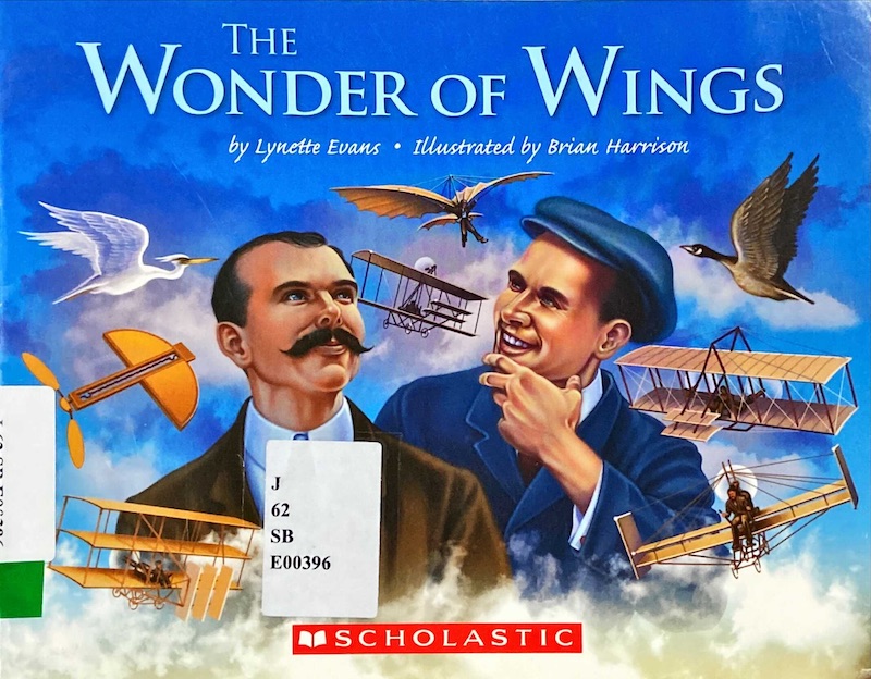 The wonder of wings