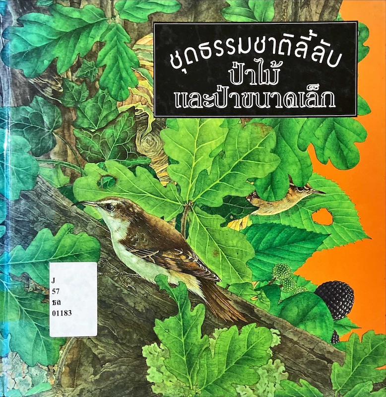 ป่าไม้และป่าขนาดเล็ก