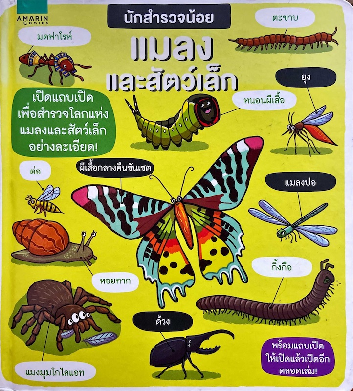 นักสำรวจน้อย แมลงและสัตว์เล็ก