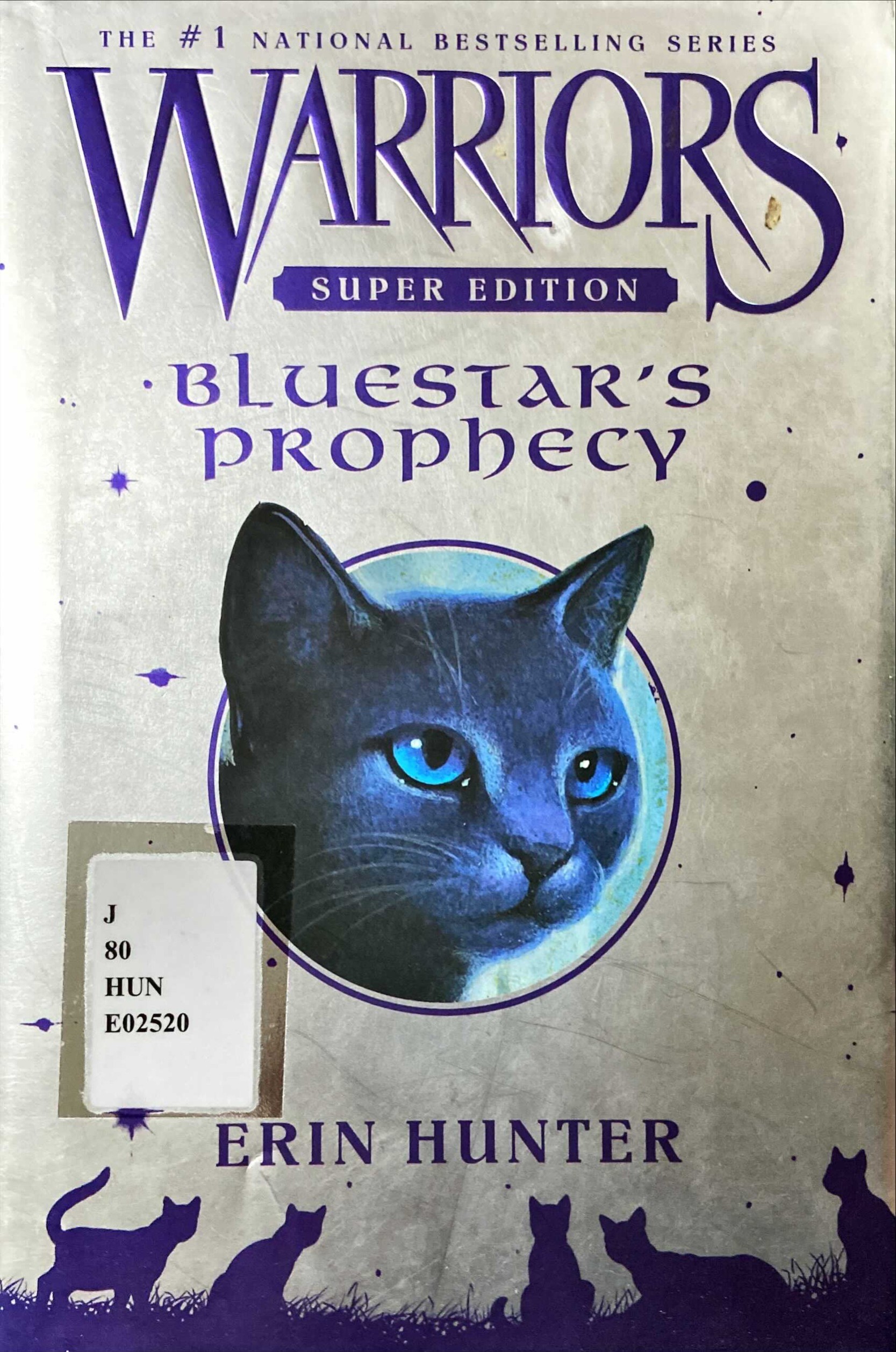 Bluestar's prophecy