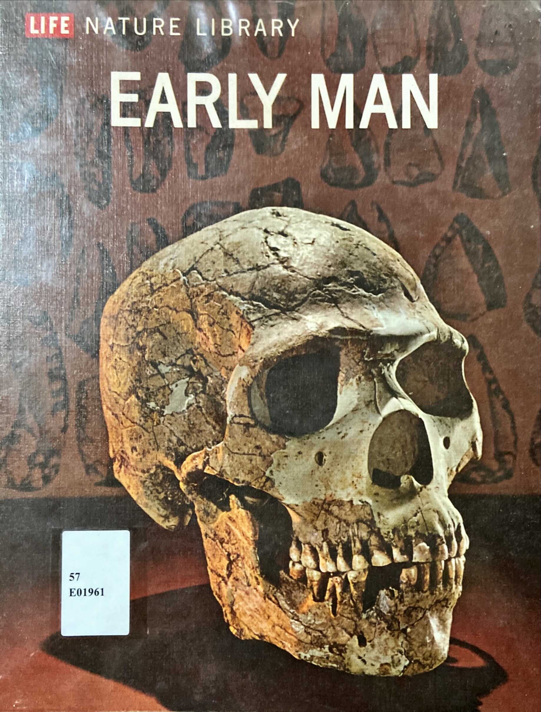 Early man