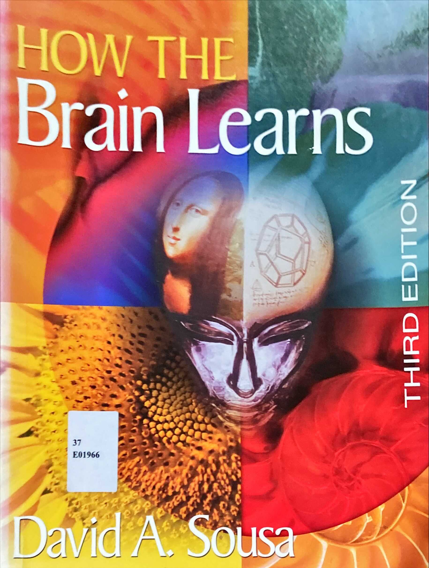 How the brain learns