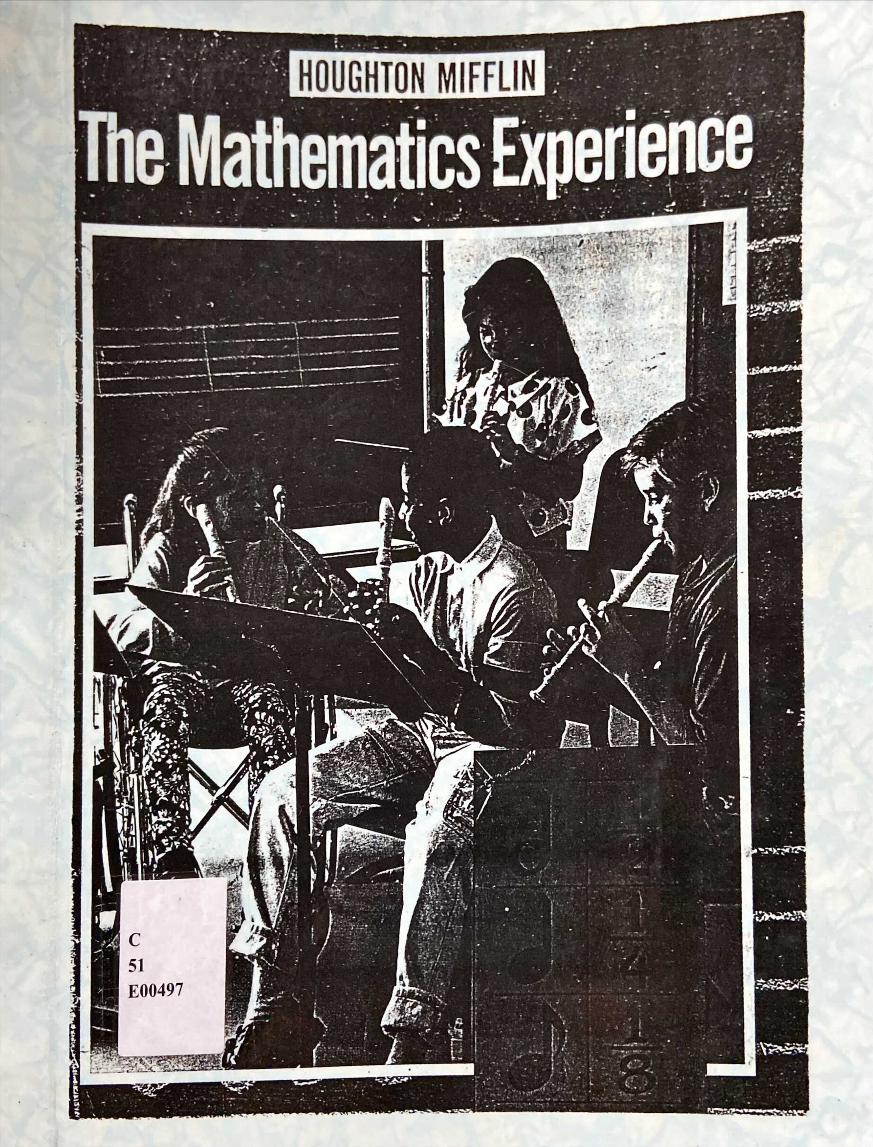 The Mathematics Experience