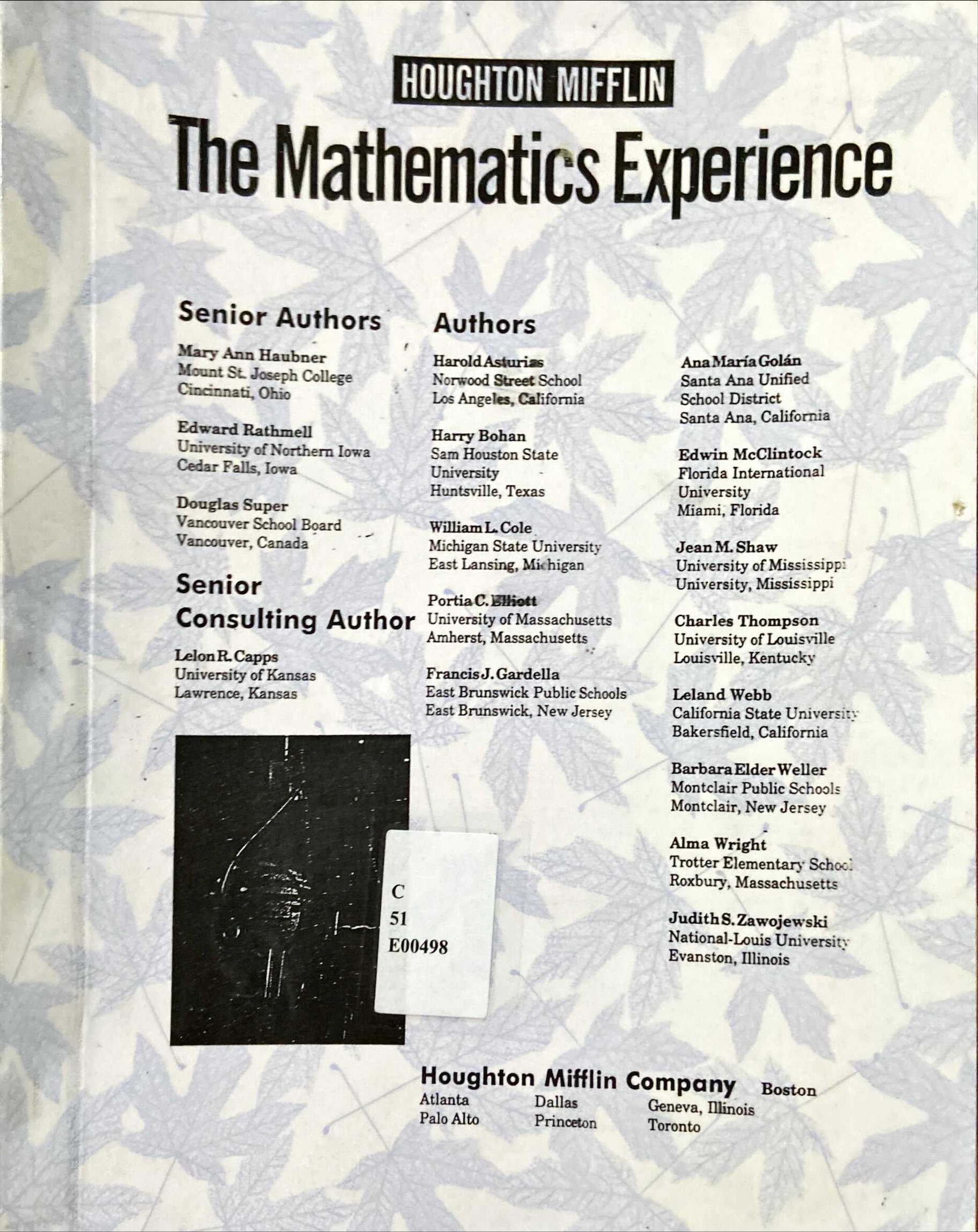 The Mathematics Experience