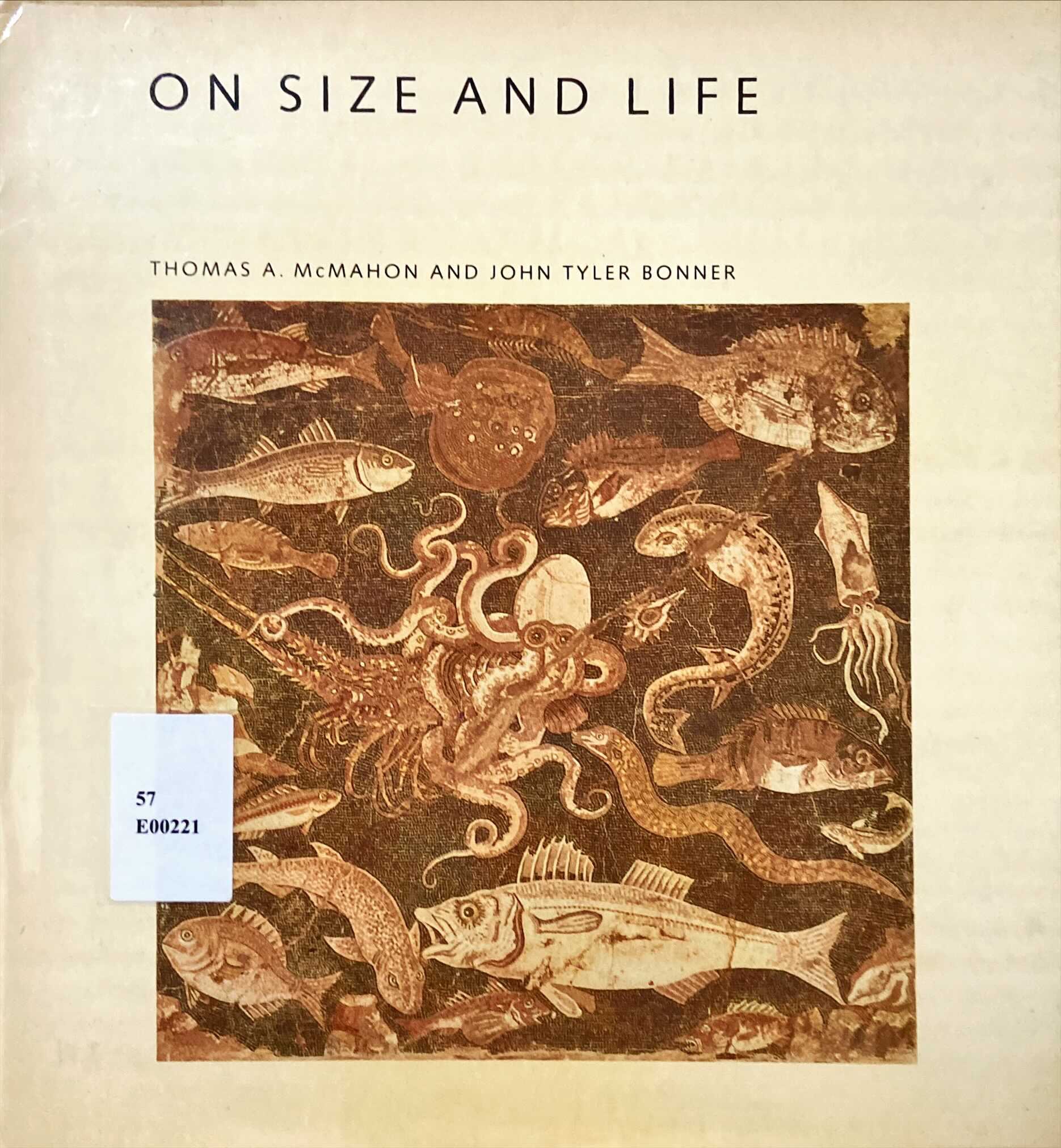 On size and life