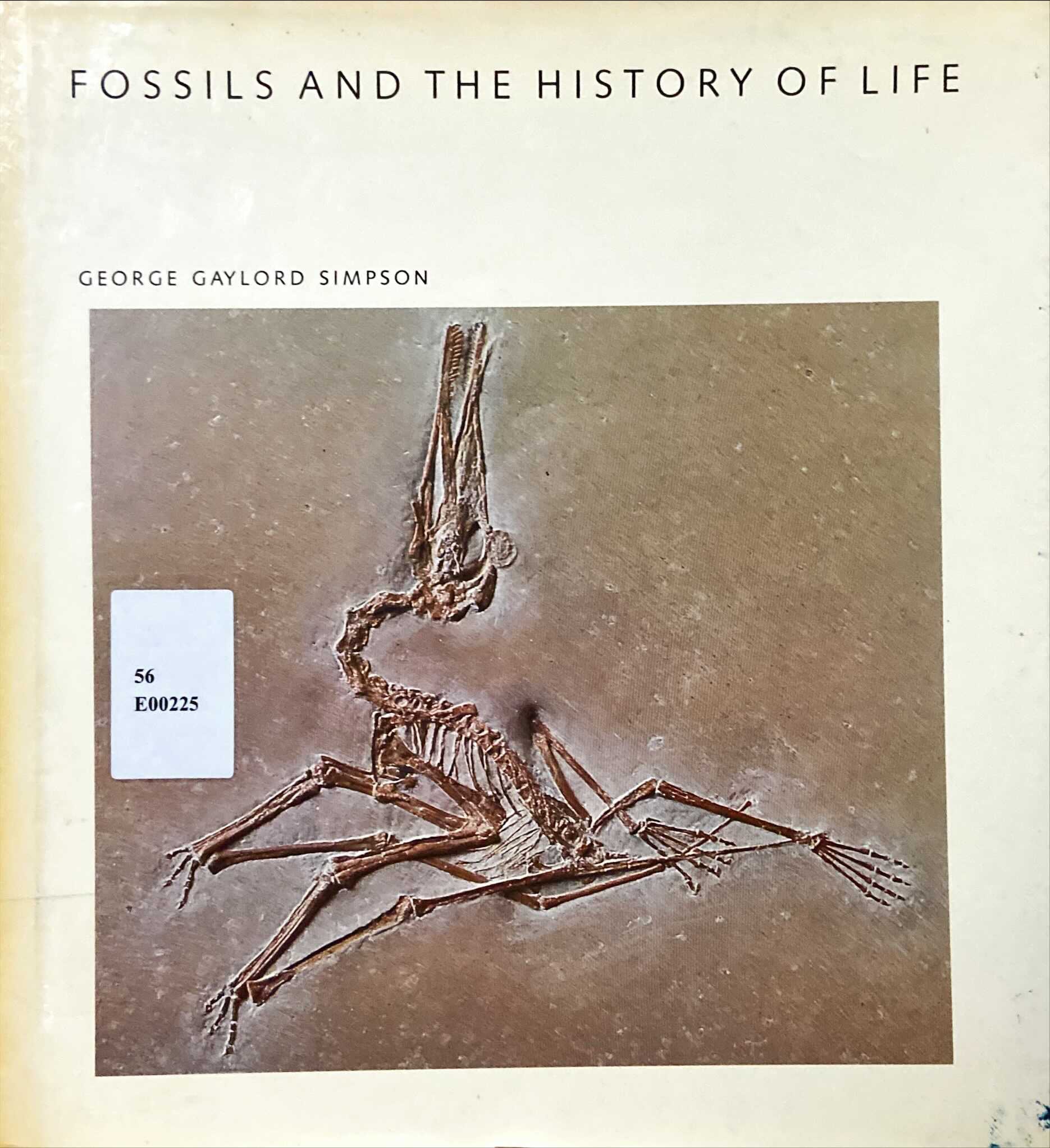 Fossils and the history of life