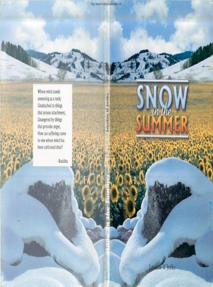 Snow in the summer (copy) 
