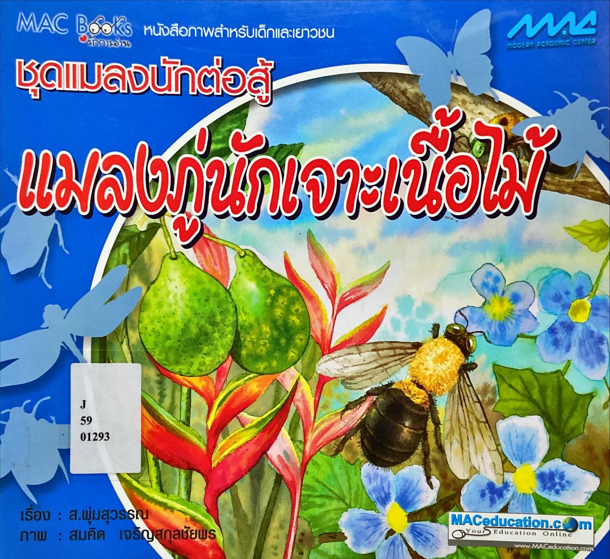 แมลงภู่นักเจาะเนื้อไม้