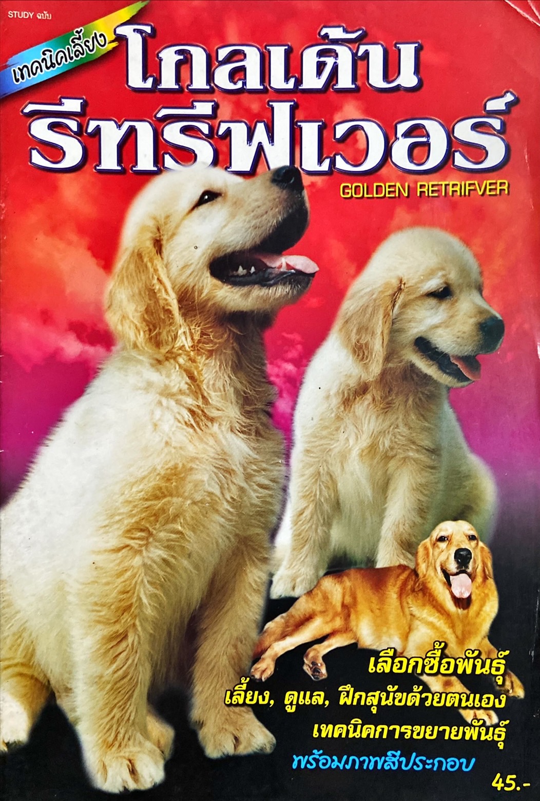 โกลเด้นรีทรีฟเวอร์ = Golden Retrifver