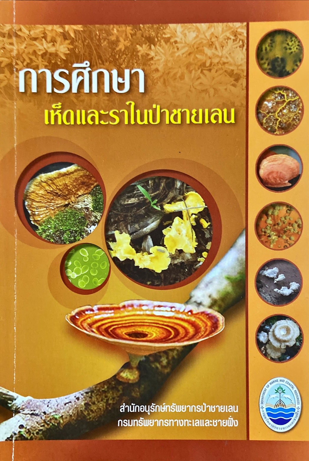 การศึกษาเห็ดและราในป่าชายเลน