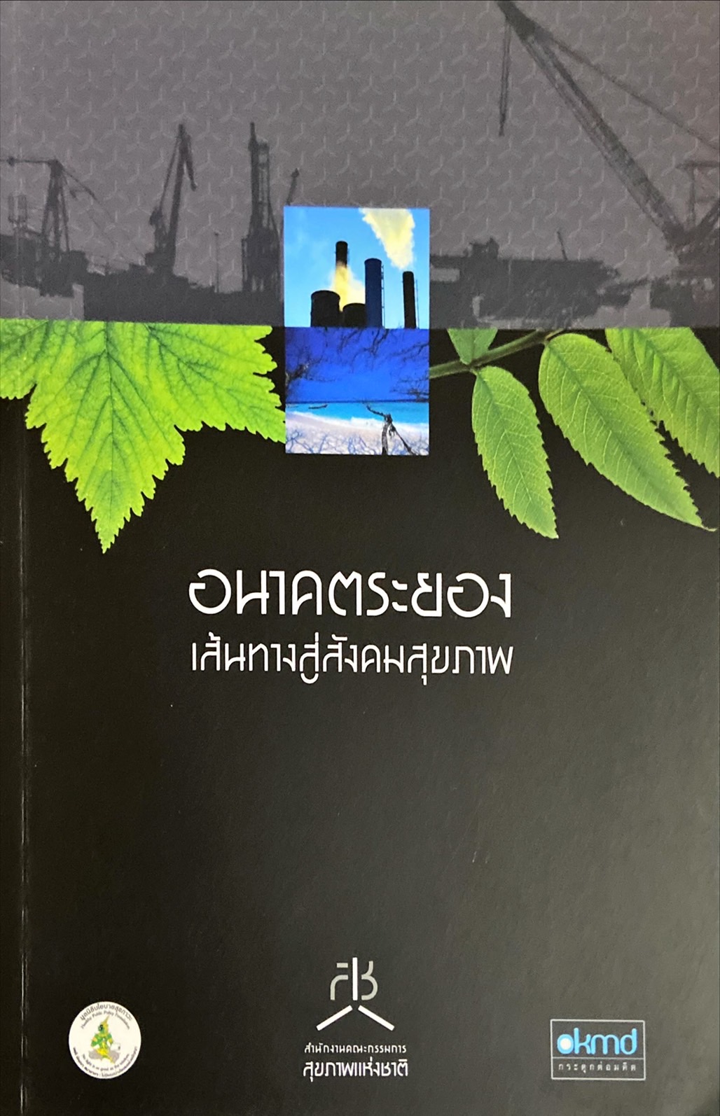 อนาคตระยอง เส้นทางสู่สังคมสุขภาพ