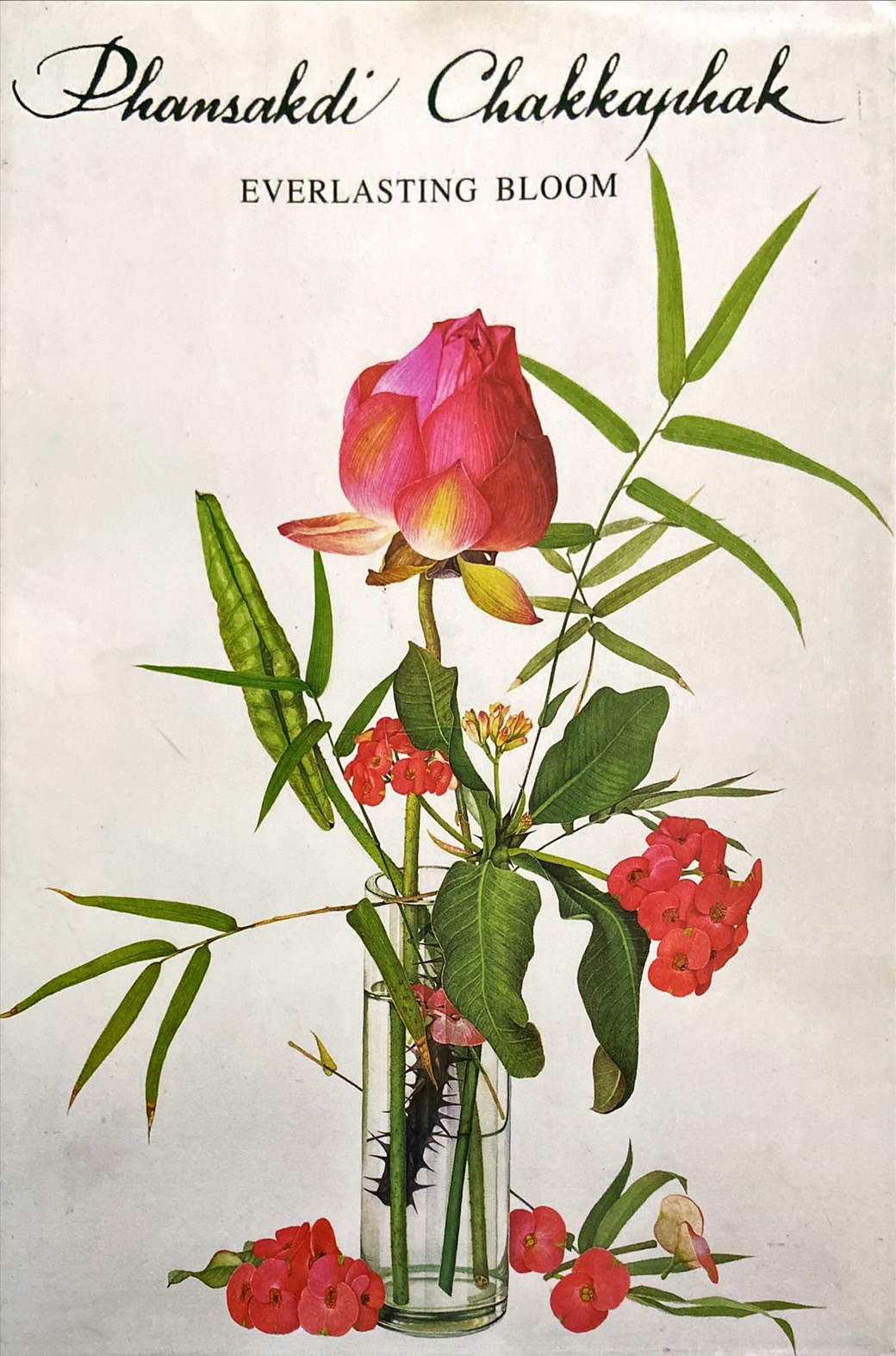 บานมิรู้โรย = Everlasting bloom