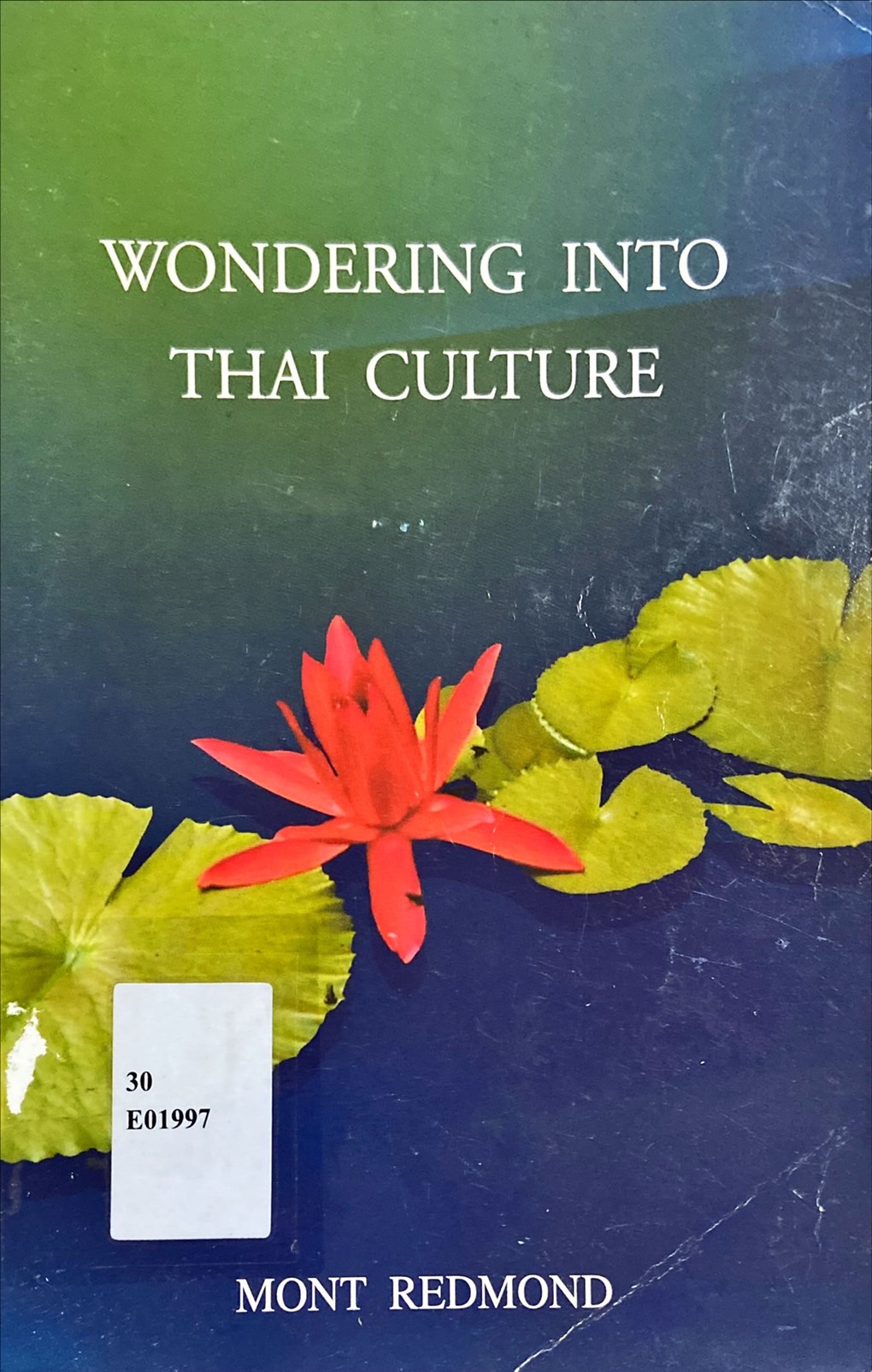 Wondering Into Thai Culture