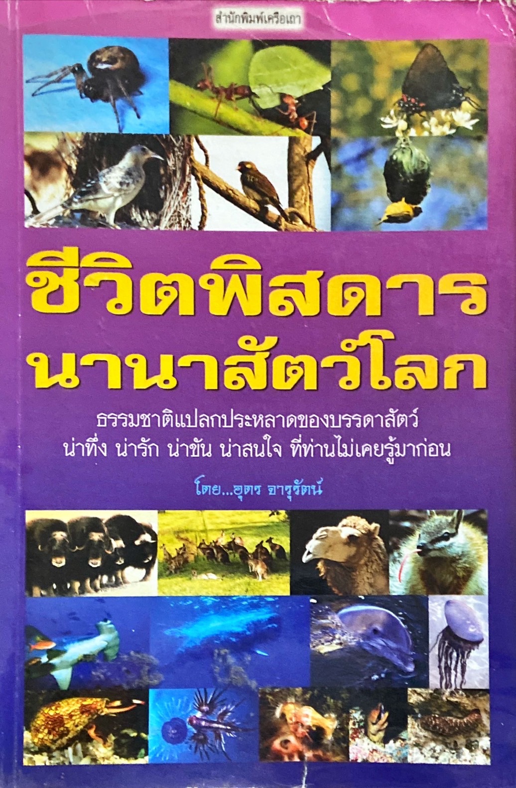 ชีวิตพิสดาร นานาสัตว์โลก