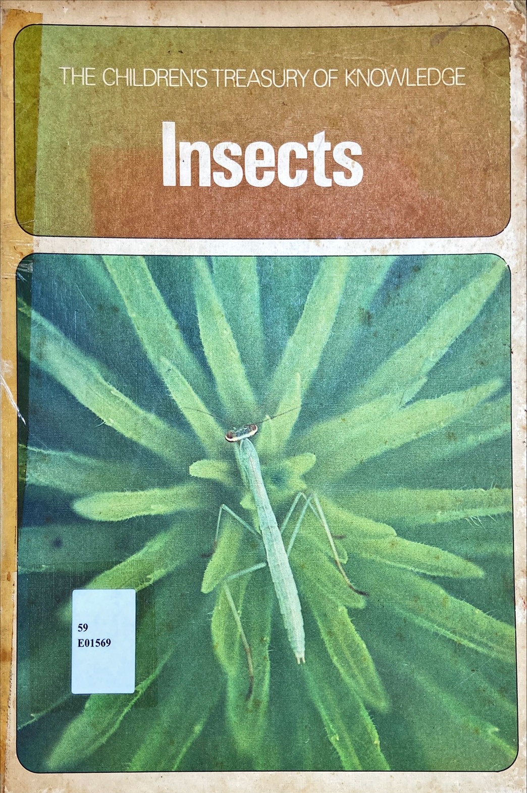 Insects