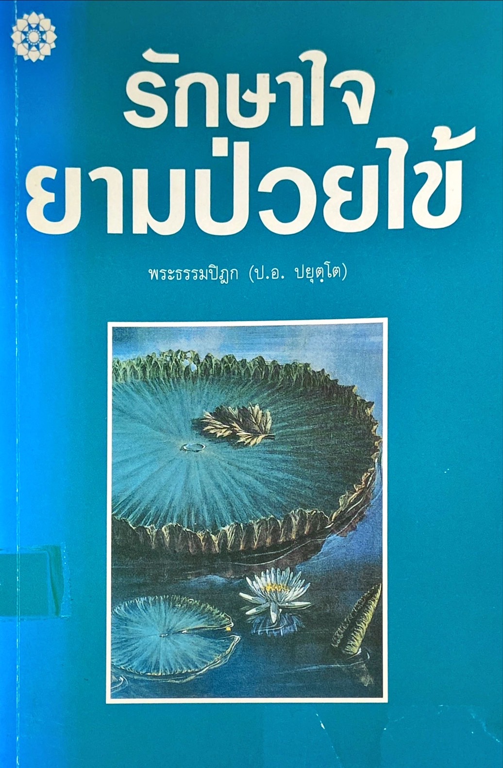 รักษาใจยามป่วยไข้