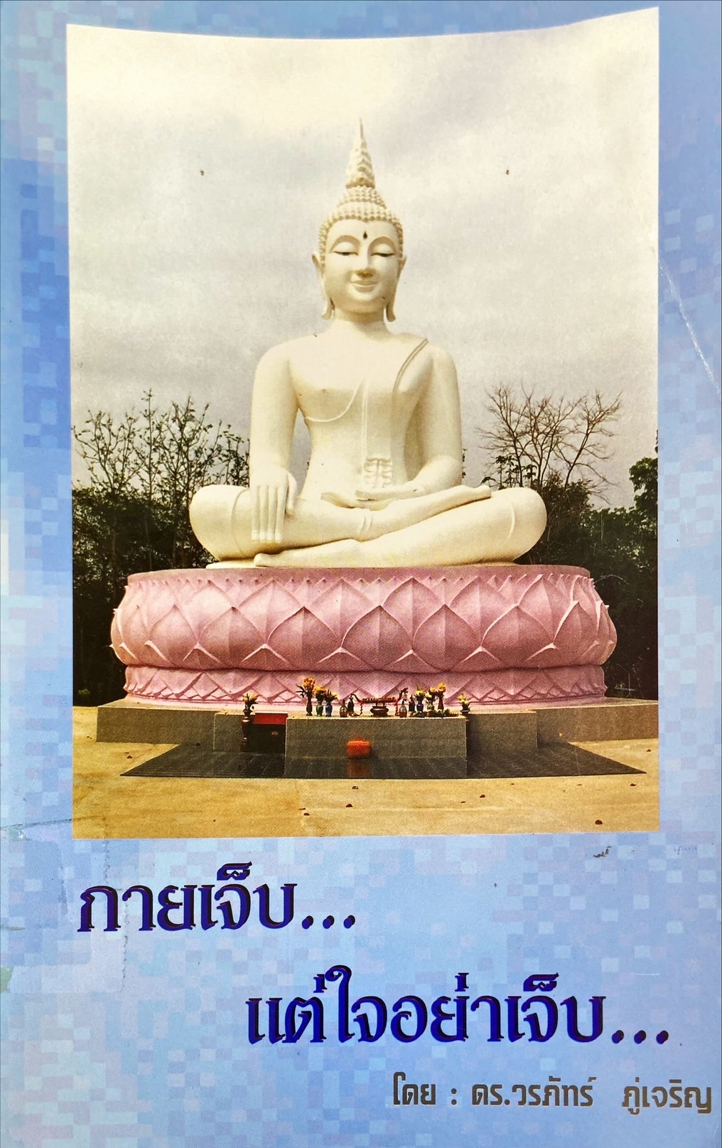 กายเจ็บ...แต่ใจอย่าเจ็บ...