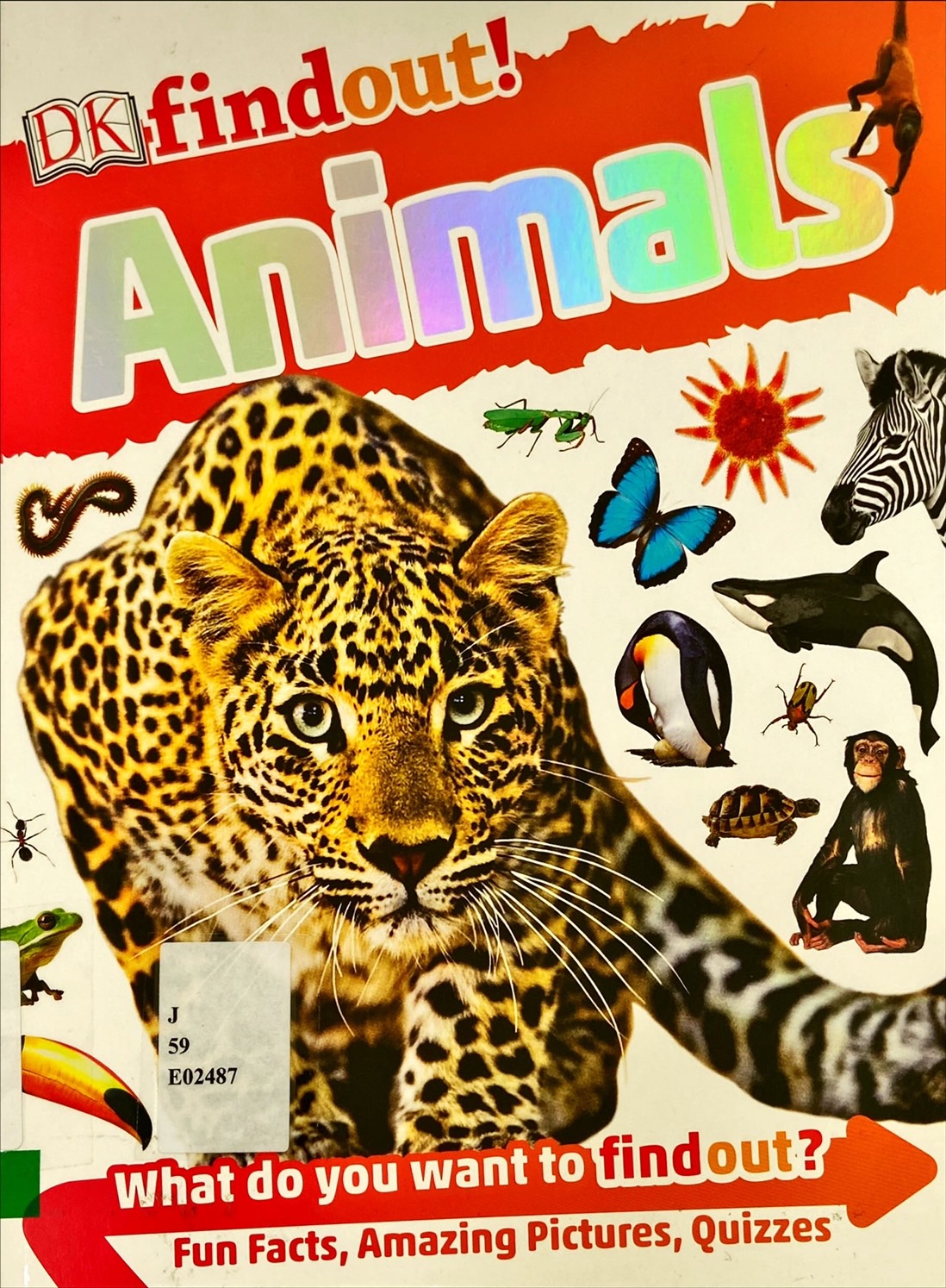 Animals