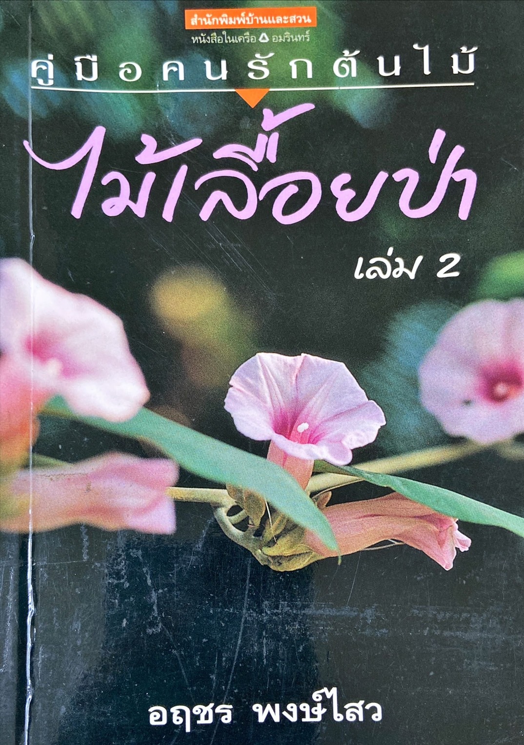โลกของคนรักต้นไม้ : ไม้เลื้อยป่า 2|ไม้เลื้อยป่า เล่ม 2