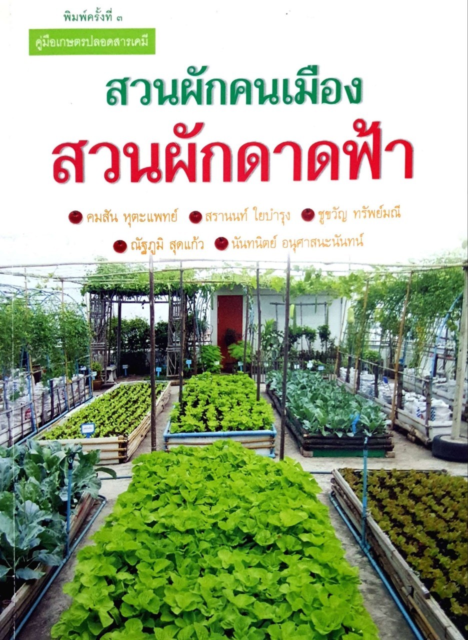 สวนผักคนเมือง สวนผักดาดฟ้า