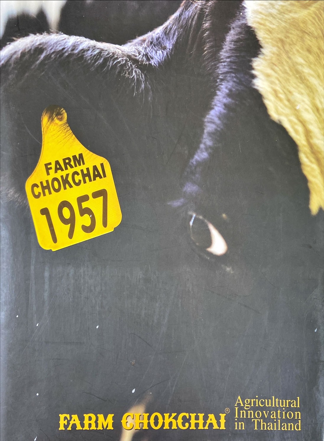 Farm Chokchai : agricultural innovation in Thailand