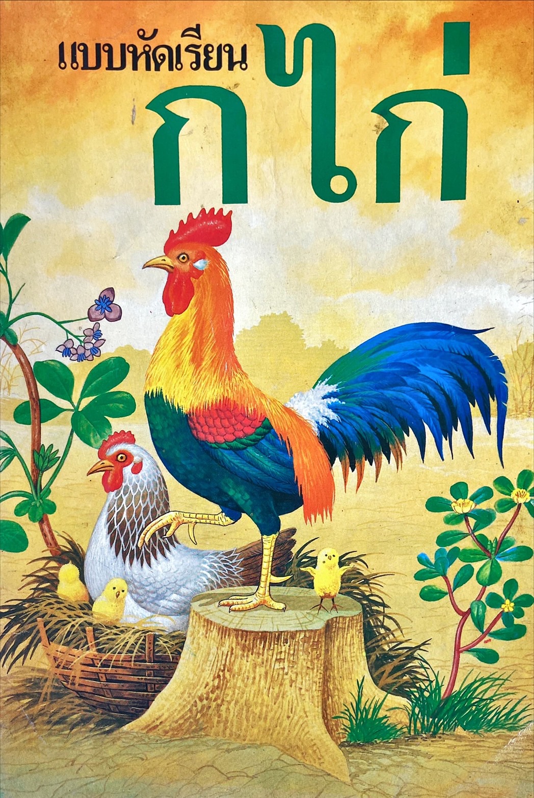 แบบฝึกหัด ก.ไก่