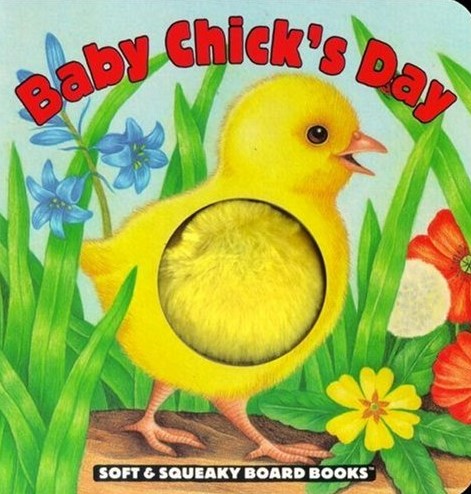 Baby chick's day