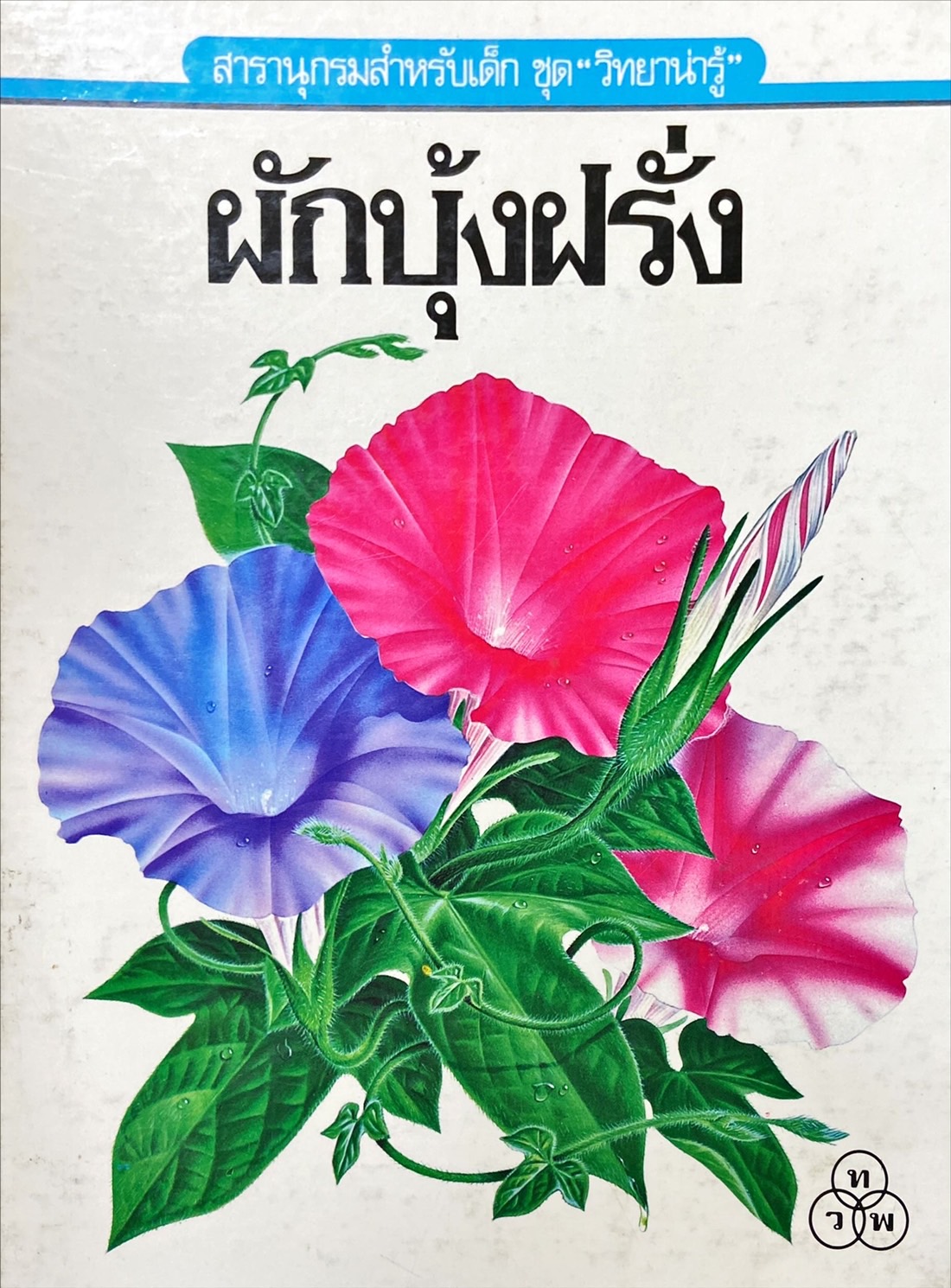 ผักบุ้งฝรั่ง : สารานุกรมสำหรับเด็ก