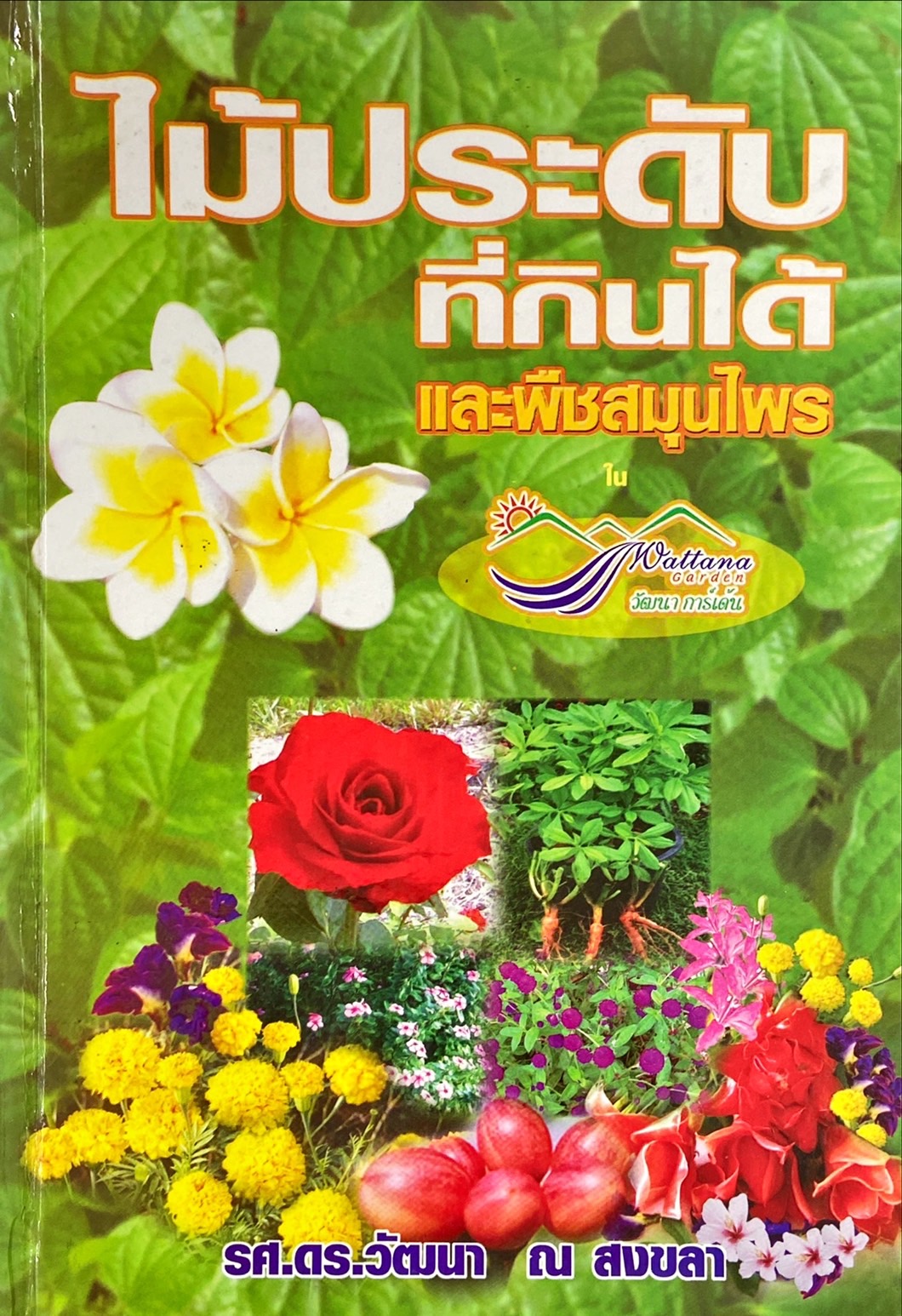 ไม้ประดับที่กินได้ และพืชสมุนไพร