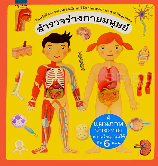 สำรวจร่างกายมนุษย์