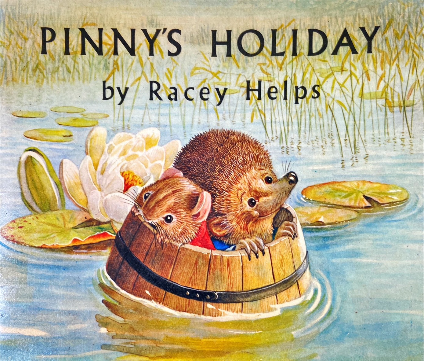 Pinny's holiday