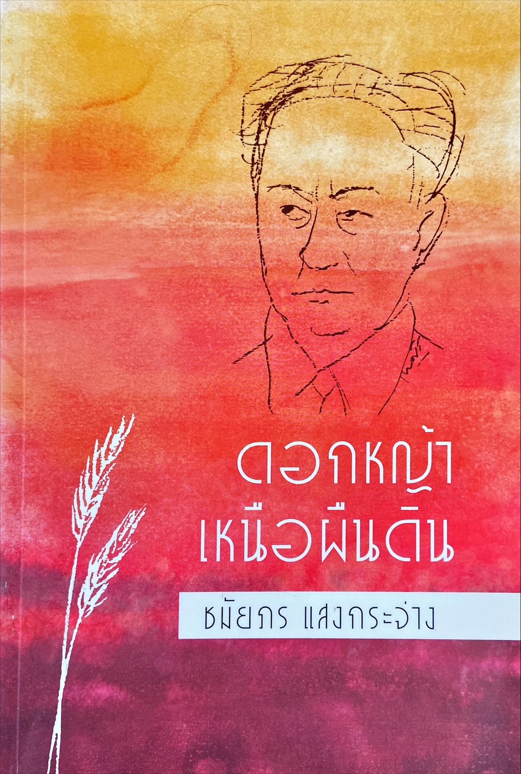 ดอกหญ้าเหนือพื้นดิน