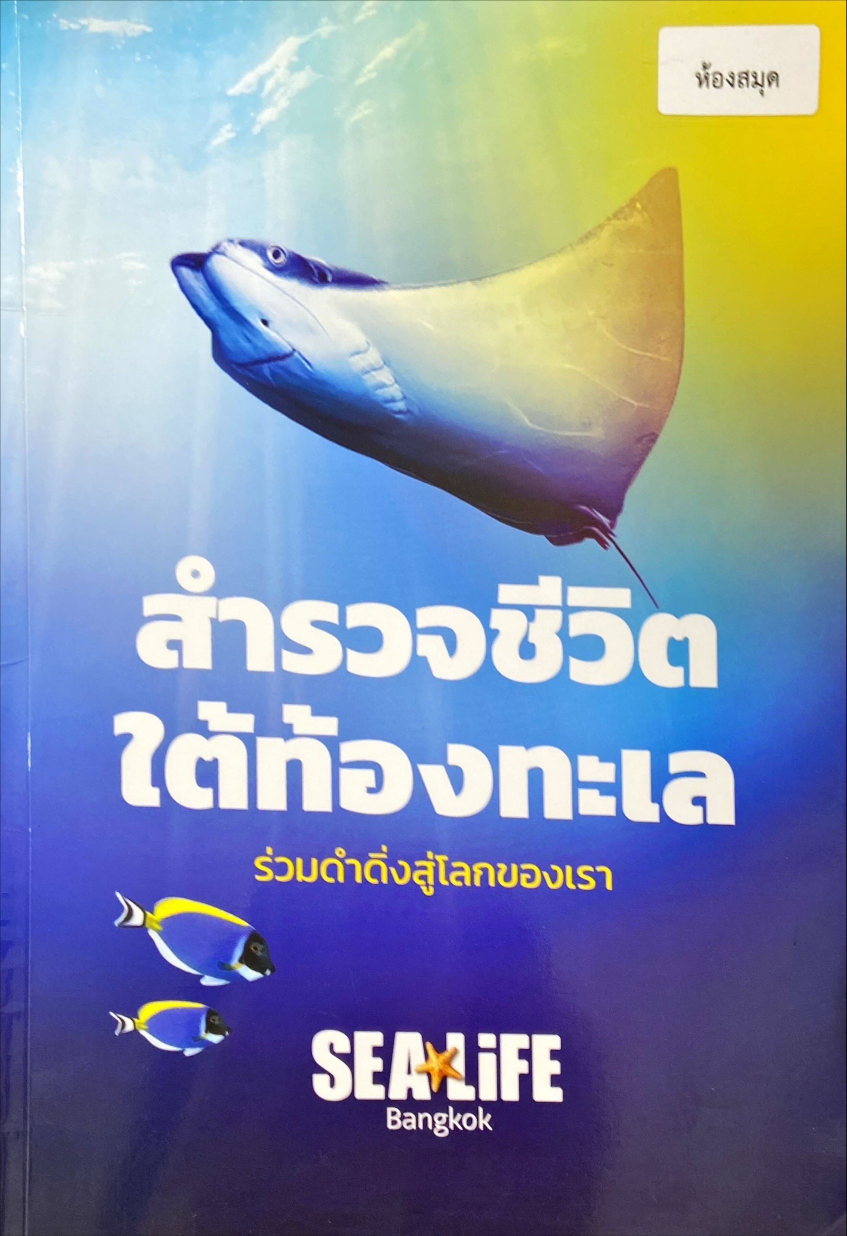 สำรวจชีวิตใต้ท้องทะเล: ร่วมดำดิ่งสู่โลกของเรา