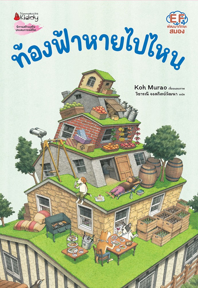ท้องฟ้าหายไปไหน