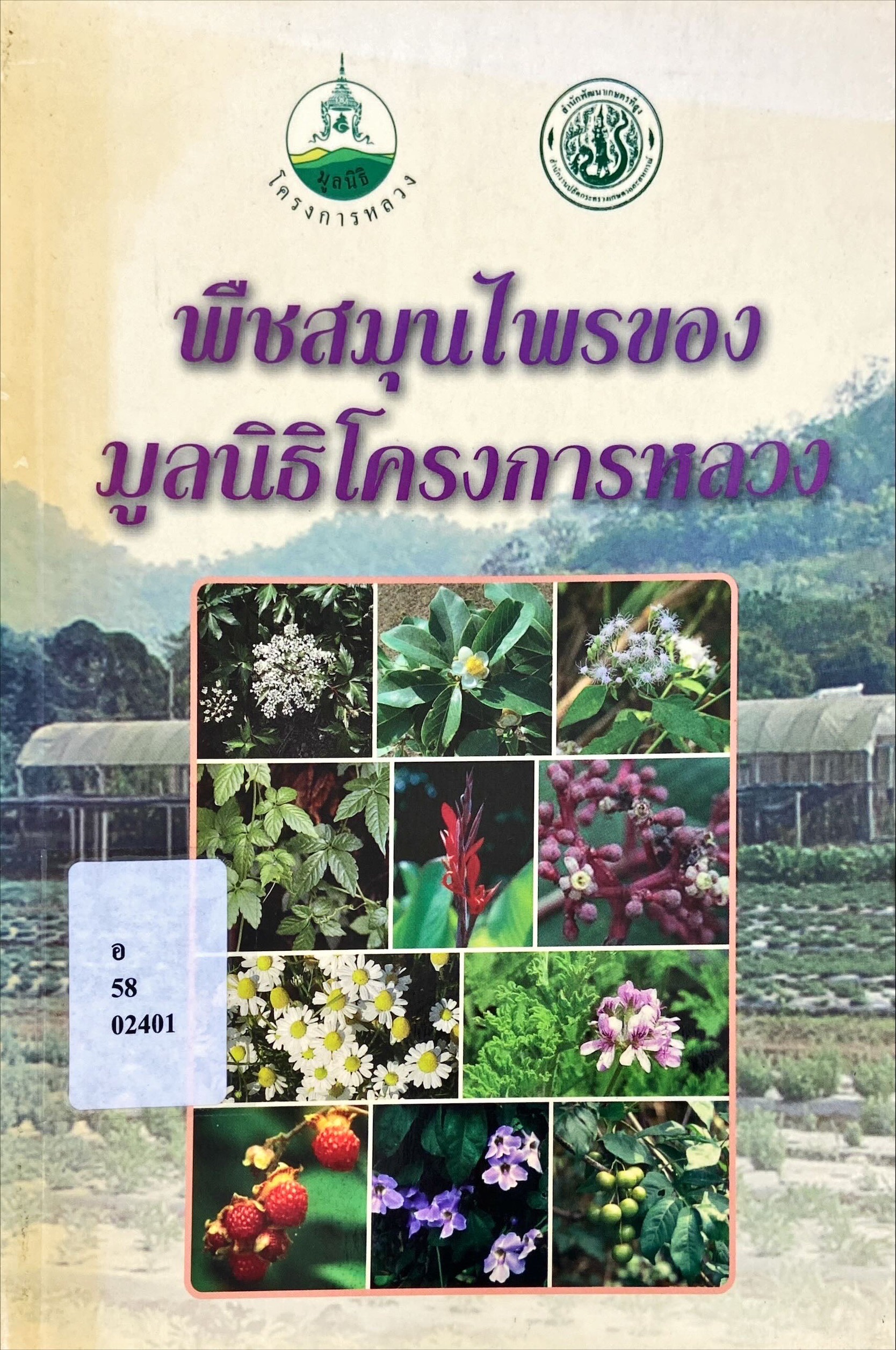 พืชสมุนไพรของมูลนิธิโครงการหลวง