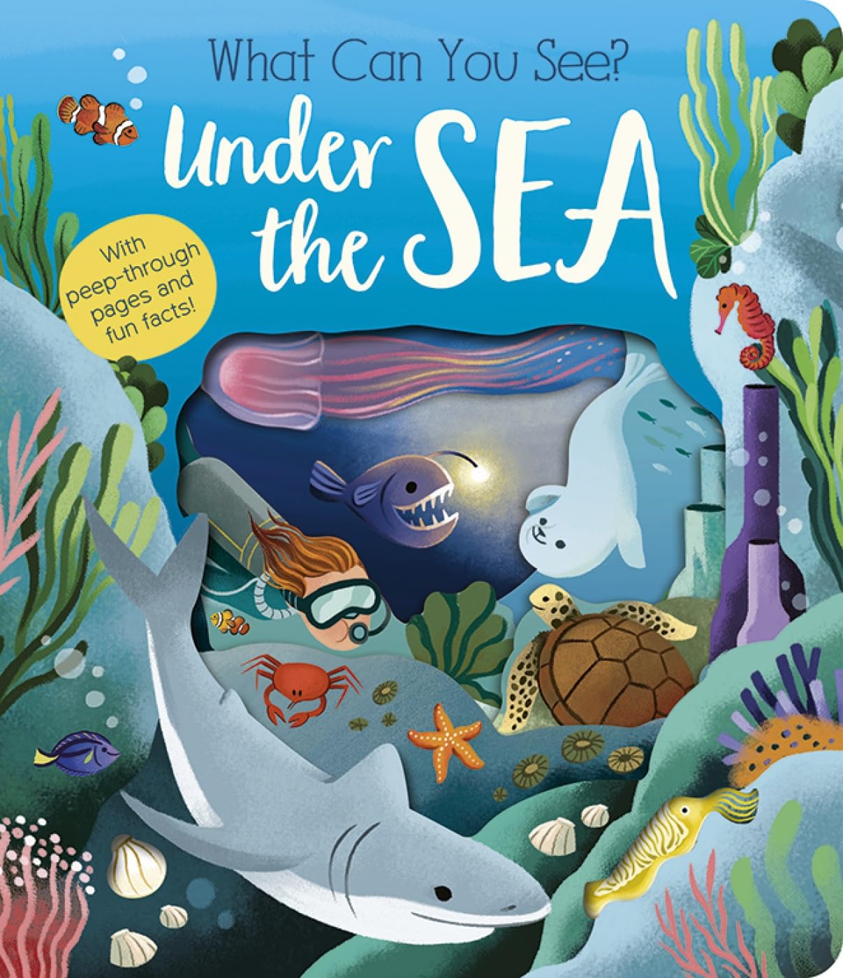 What Can You See? : Under the Sea