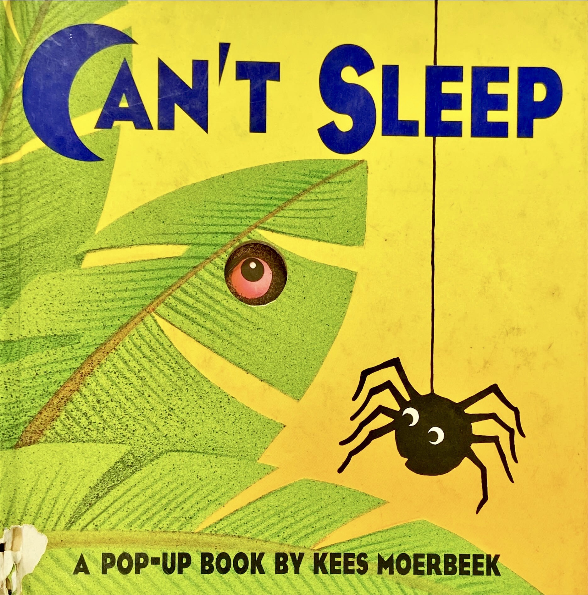 Can't sleep : a pop-up book