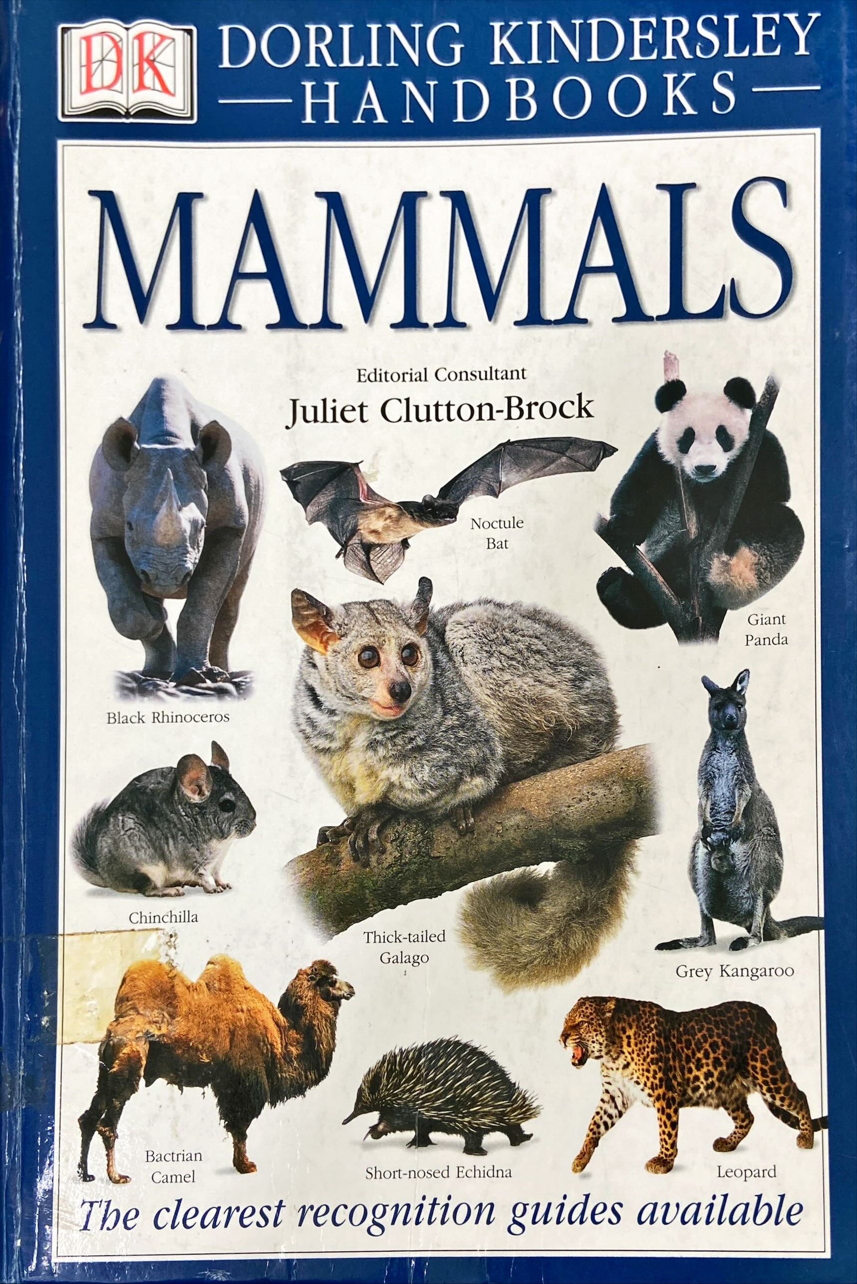 Mammals