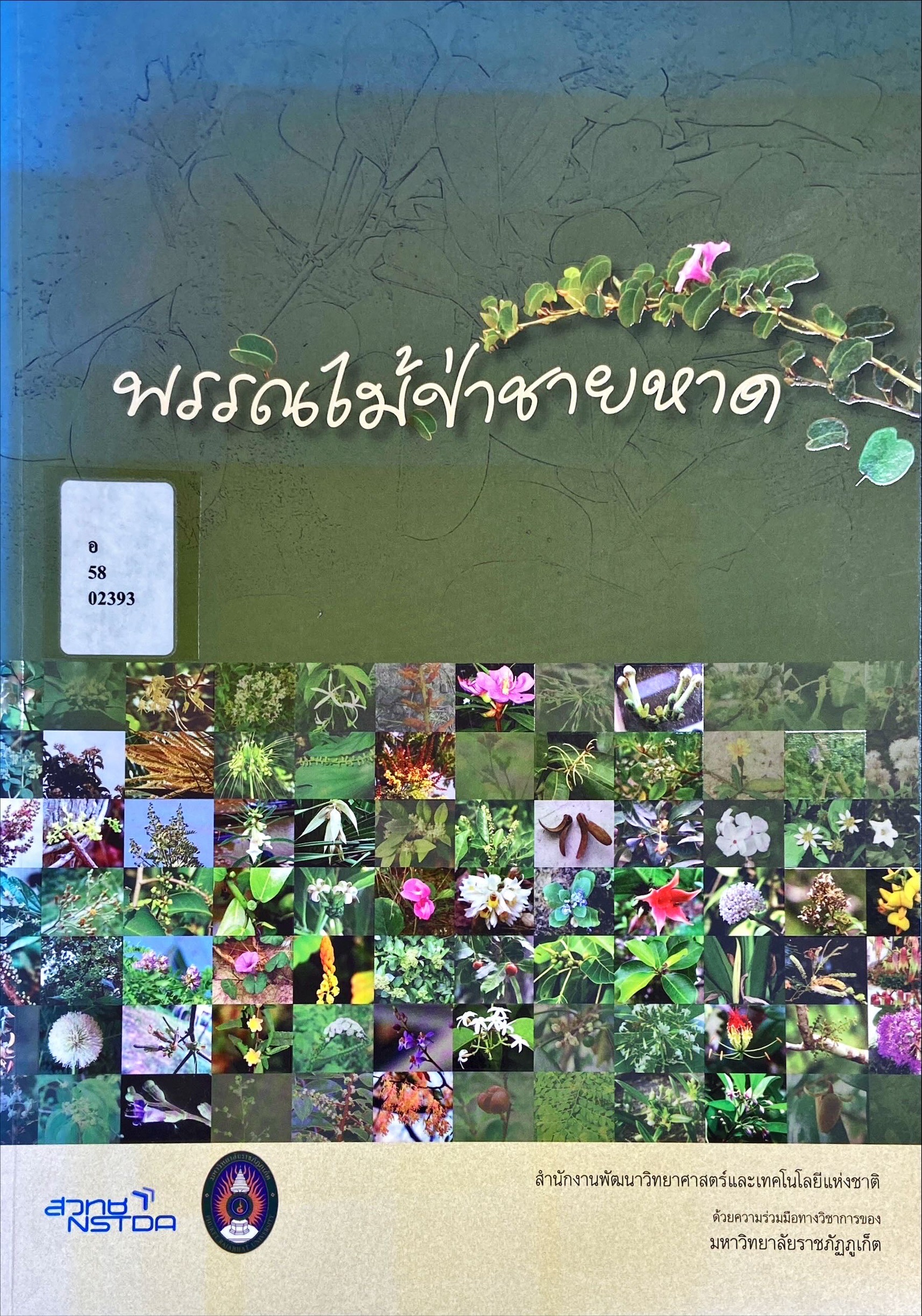 พรรณไม้ป่าชายหาด