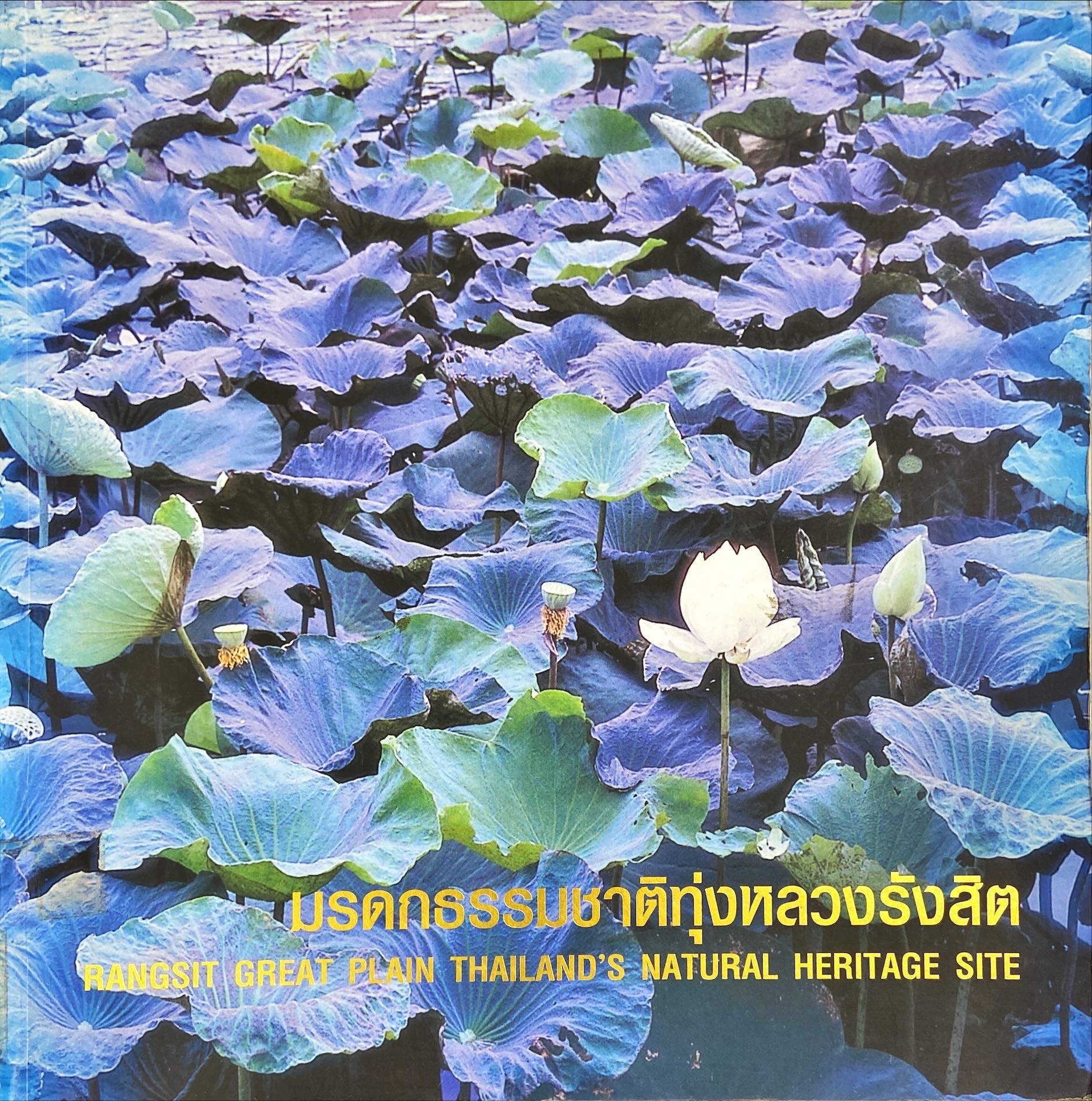มรดกธรรมชาติทุ่งหลวงรังสิต = Rangsit great plain Thailand's natural heritage site