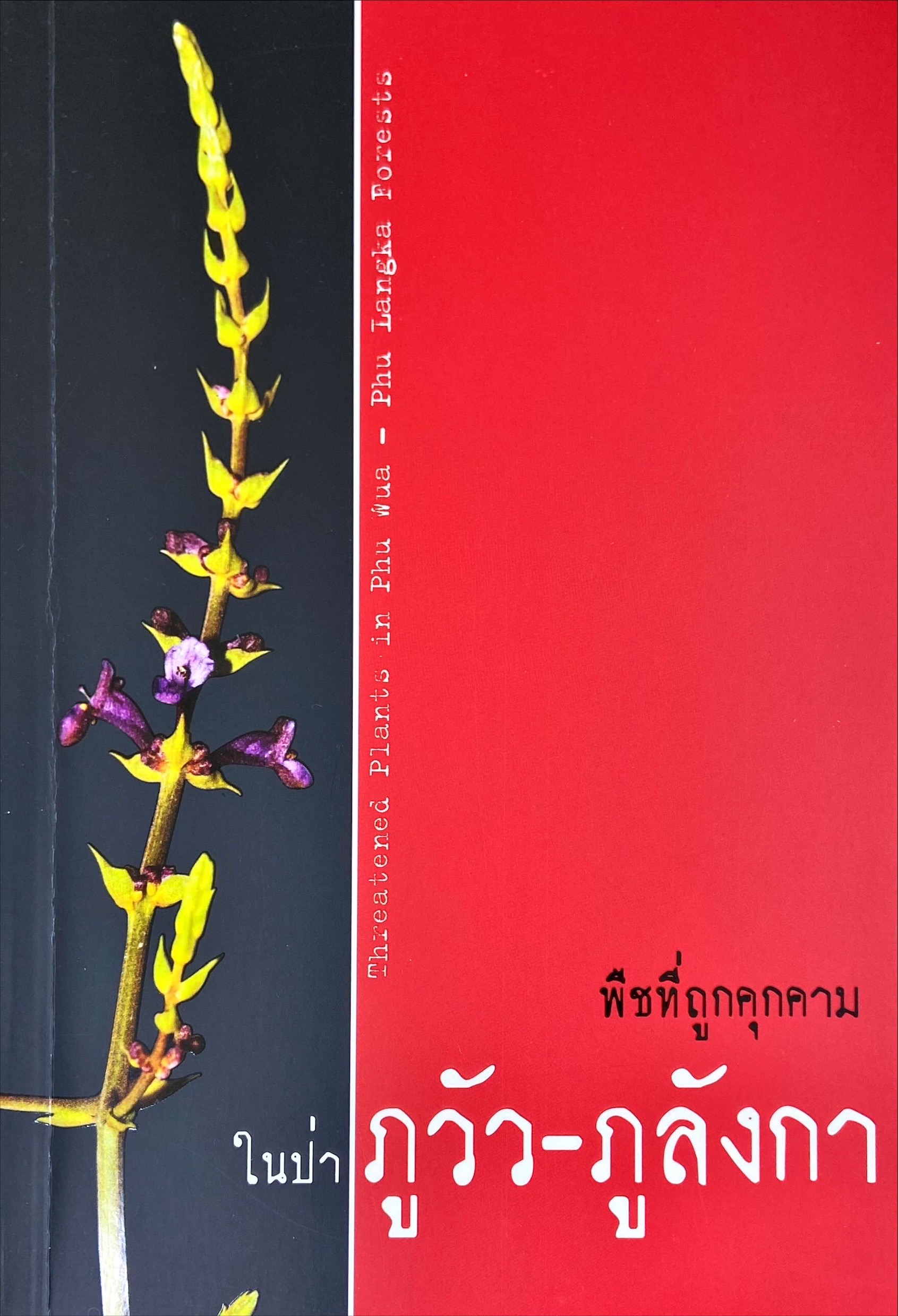 พืชที่ถูกคุกคามในป่าภูวัว-ภูลังกา
