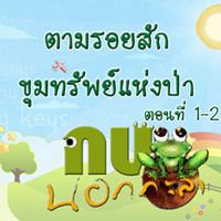 กบนอกกะลา ตอน ตามรอยสักขุมทรัพย์แห่งป่า