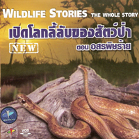 เปิดโลกลี้ลับของสัตว์ป่า ตอน อสรพิษร้าย